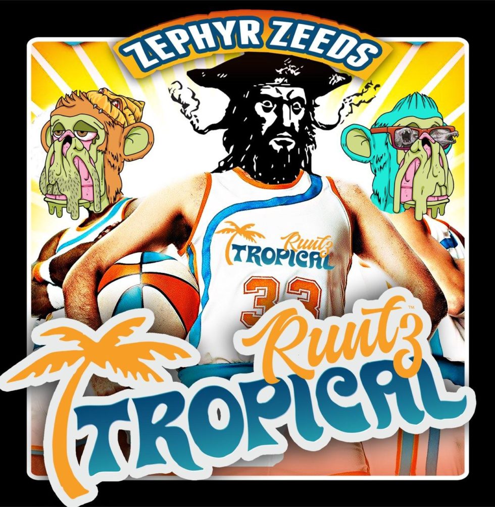 Detroit Runtz x Tropical Runtz Strain