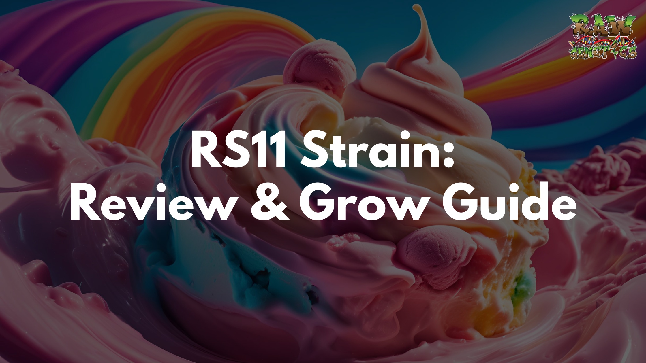 RS11 Strain Review And Grow Guide