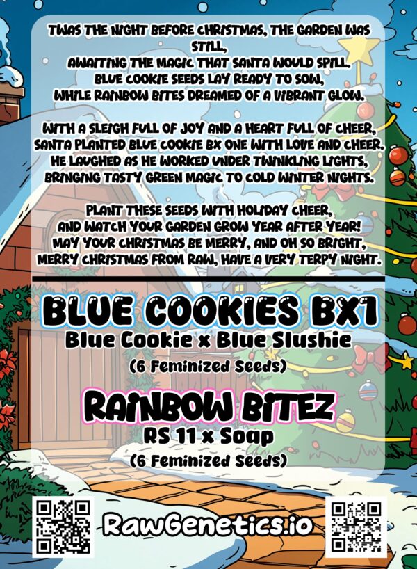 christmas cookies box set back