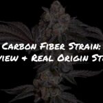 Carbon Fiber Strain Review + Real Origin Story