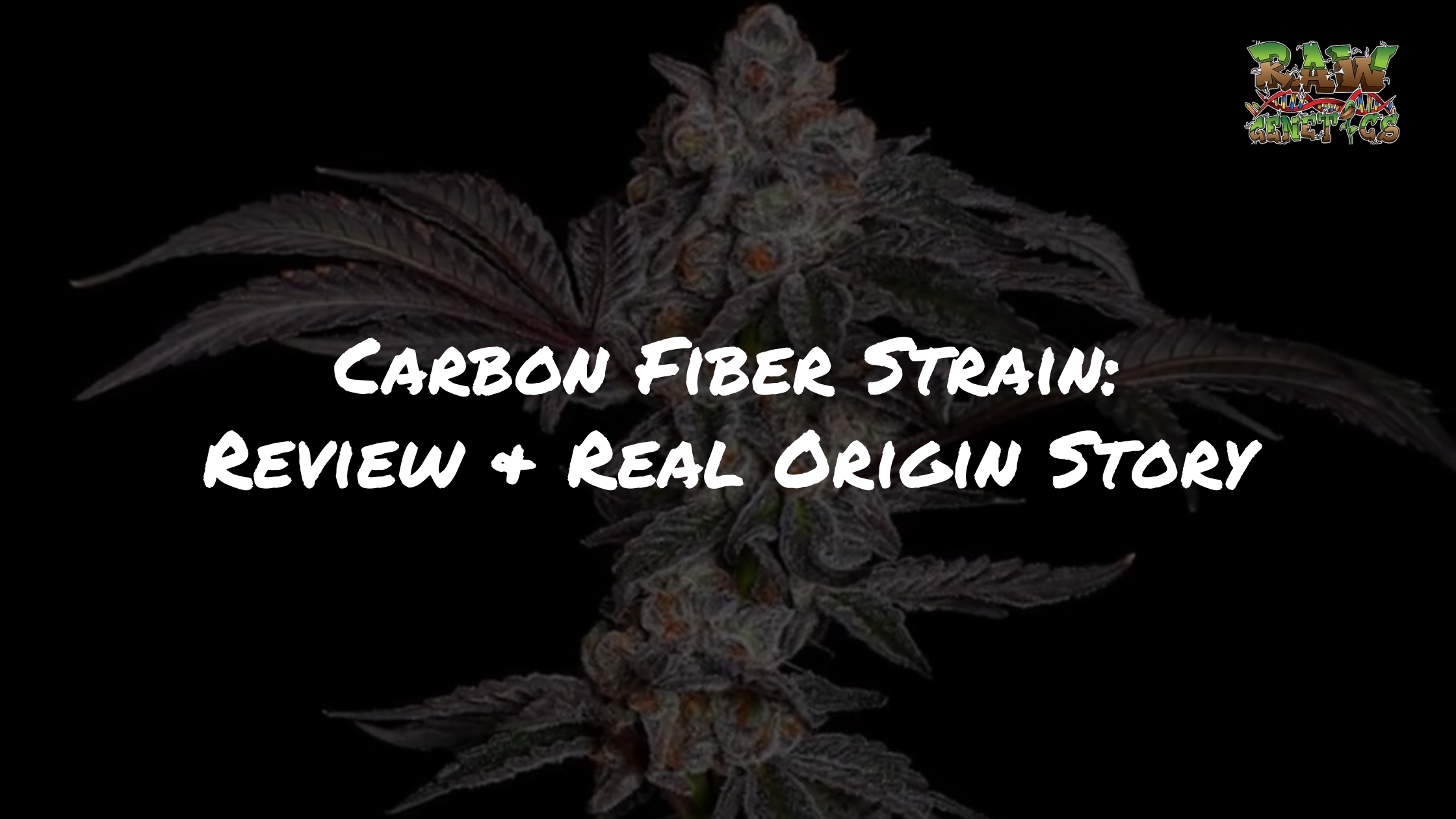 Carbon Fiber Strain Review + Real Origin Story