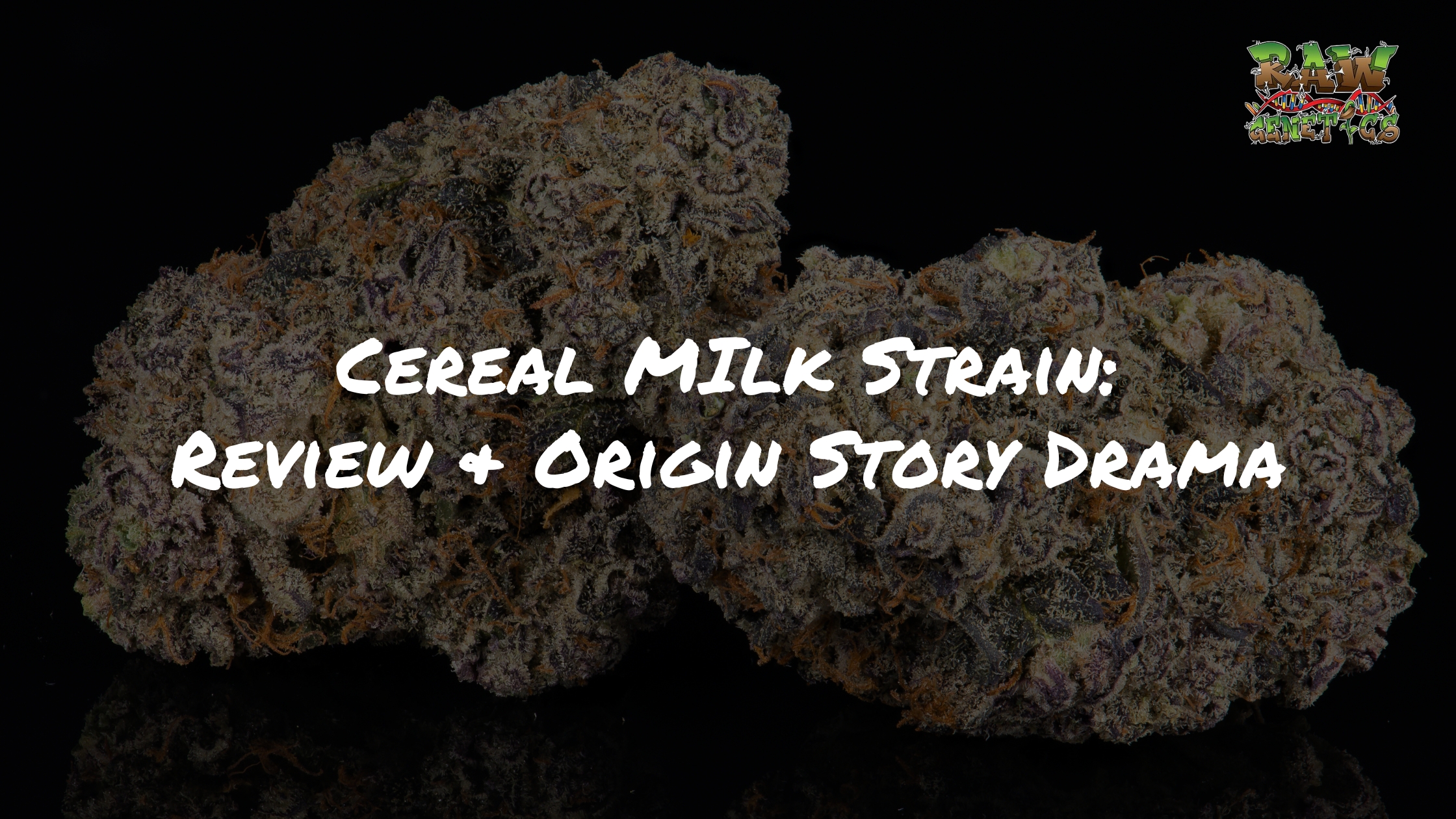 Cereal Milk Strain Review + Origin Story Drama