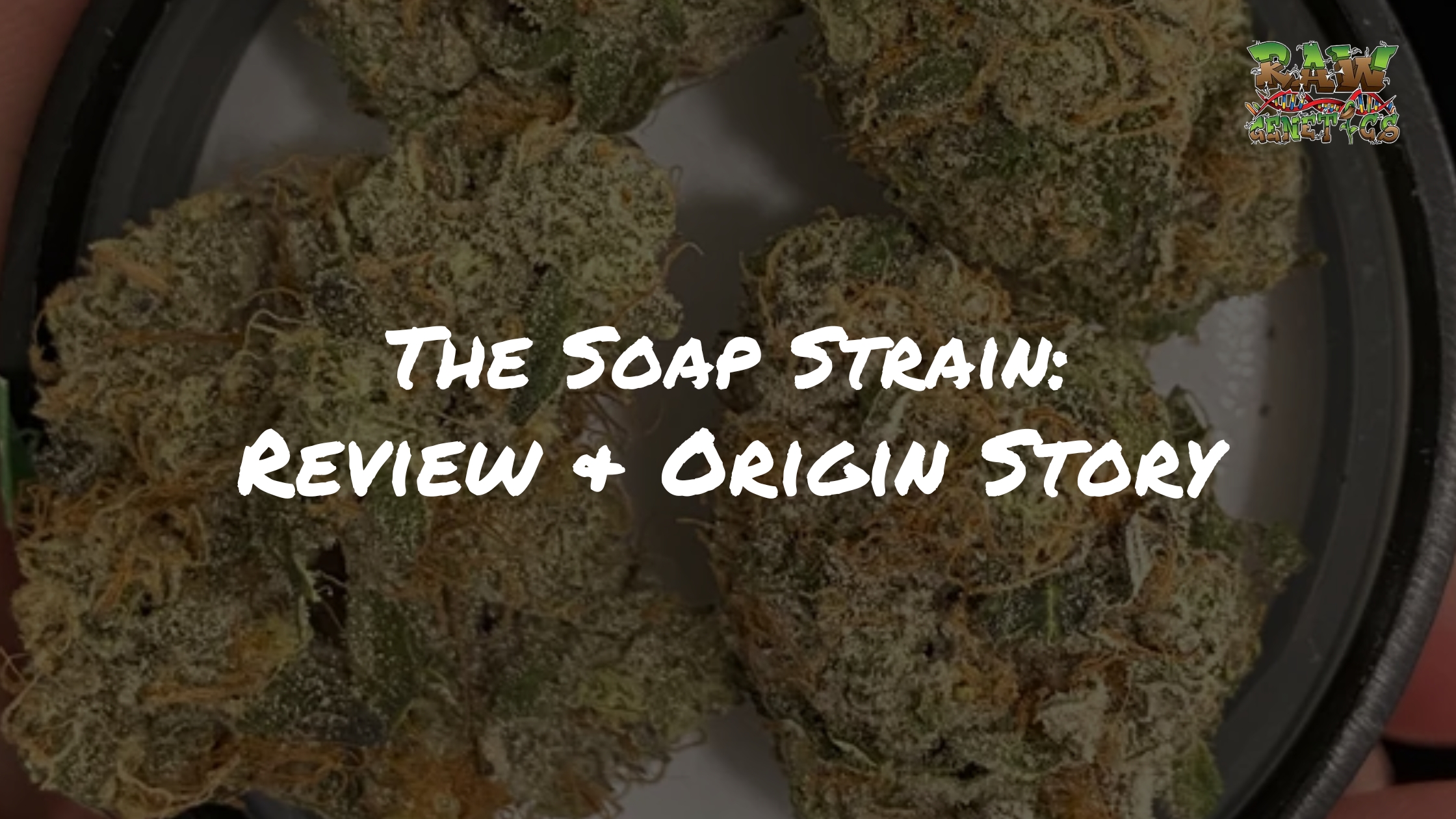 The Soap Strain review by Raw Genetics