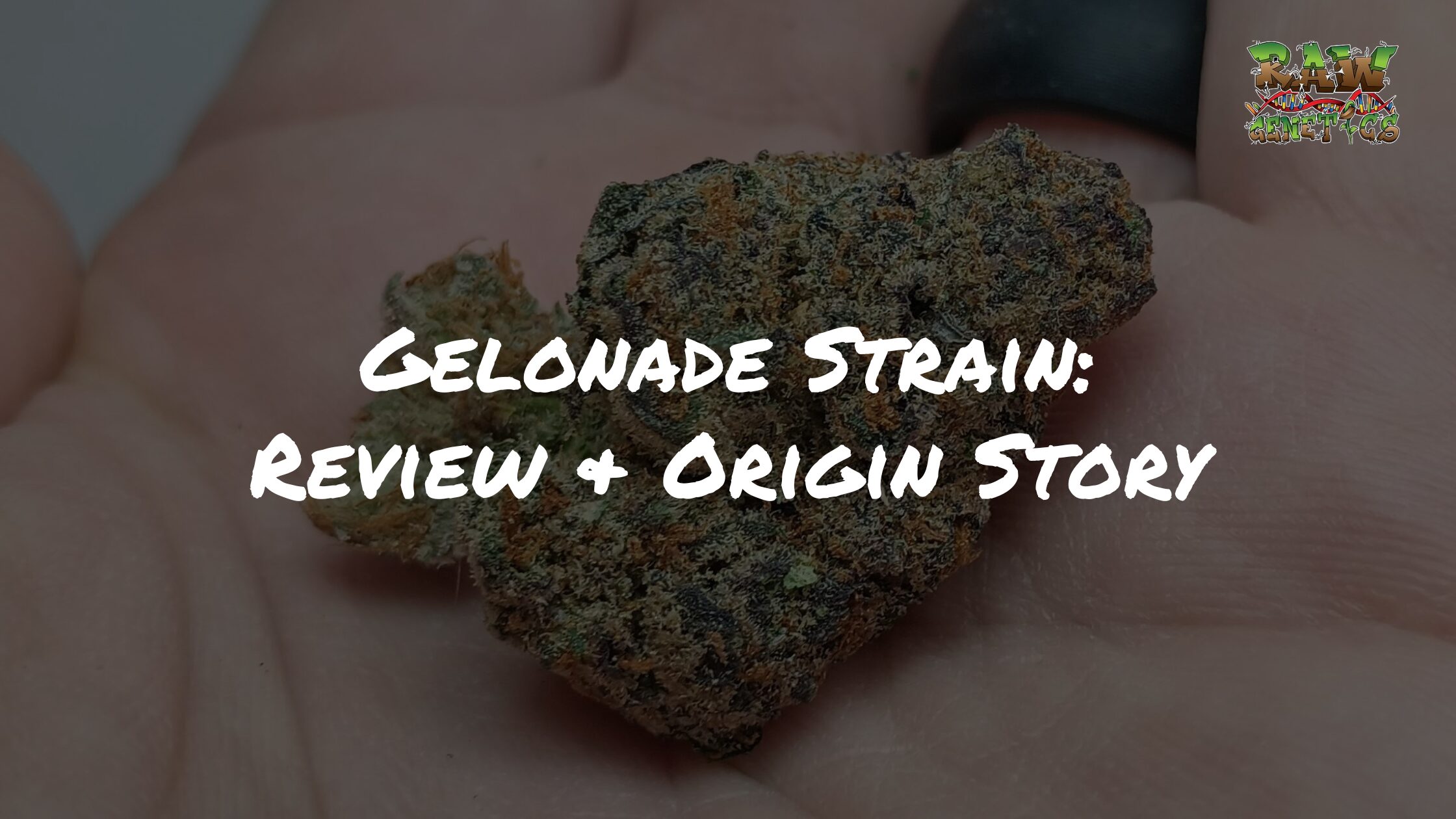 Gelonade Strain Review + Origin Story by Raw Genetics